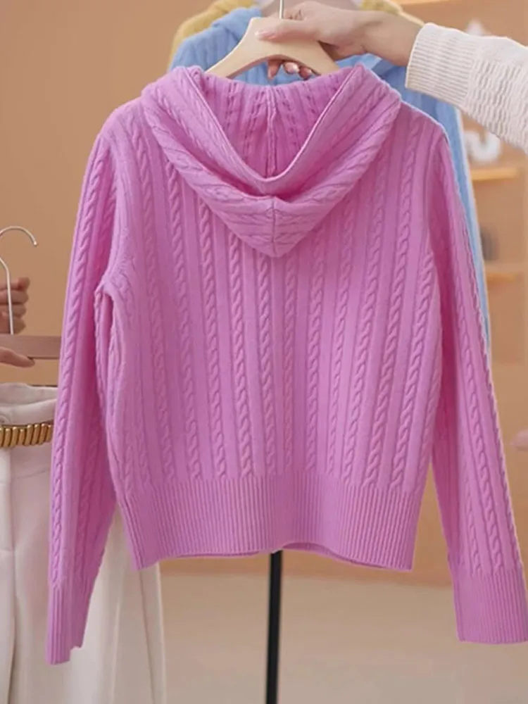 Ele Long Sve سترة مشغولة من الصوف مقنعين عادية Faion الشتاء سترة عادية تويست لون نقي تخفيف Sle منتظم صالح