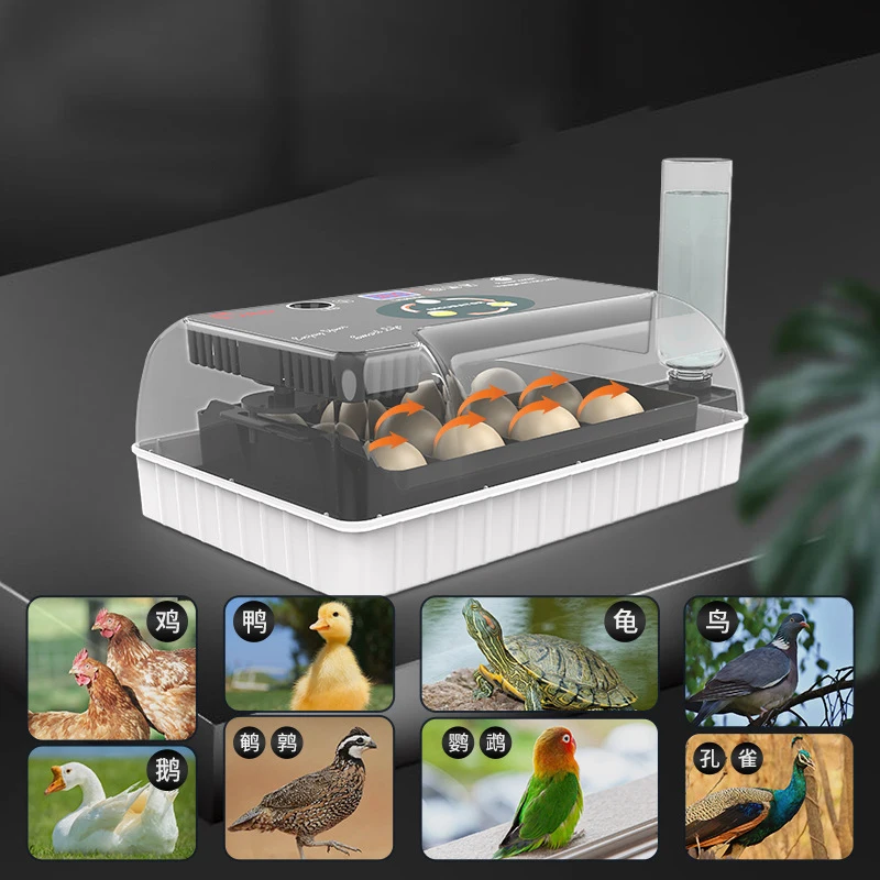 The Genesis Chamber | 12-Egg Digital Incubator with Intelligent Auto-Turning