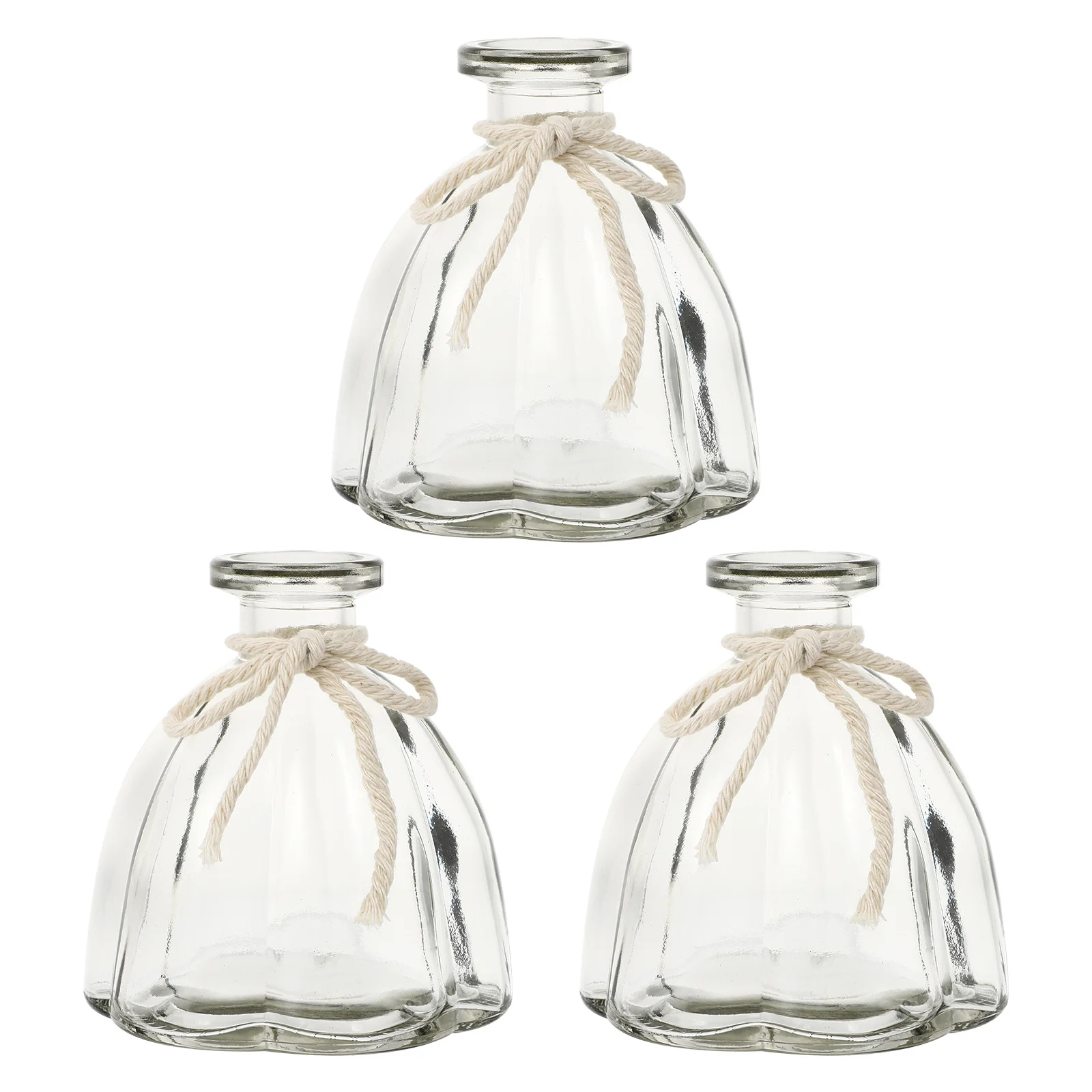 

3Pcs Hydroponic Decorative Vase Transparent Glass Creative Flower Arrangement Home Office Floral Decor Artistic Container