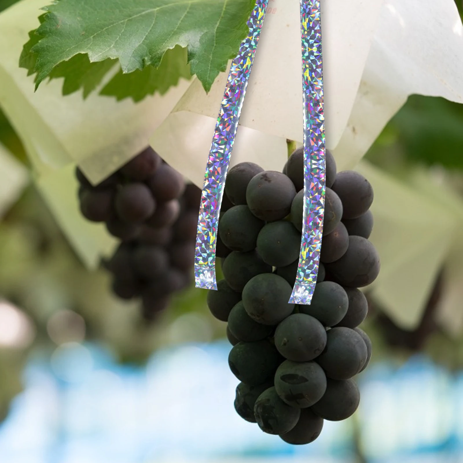 

2pcs Bird Scare Tape Double Sided Reflective Ribbon 2 4cmx80m Weather Resistant Fruit Tree Protection Home Decor