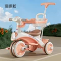 Coral powder