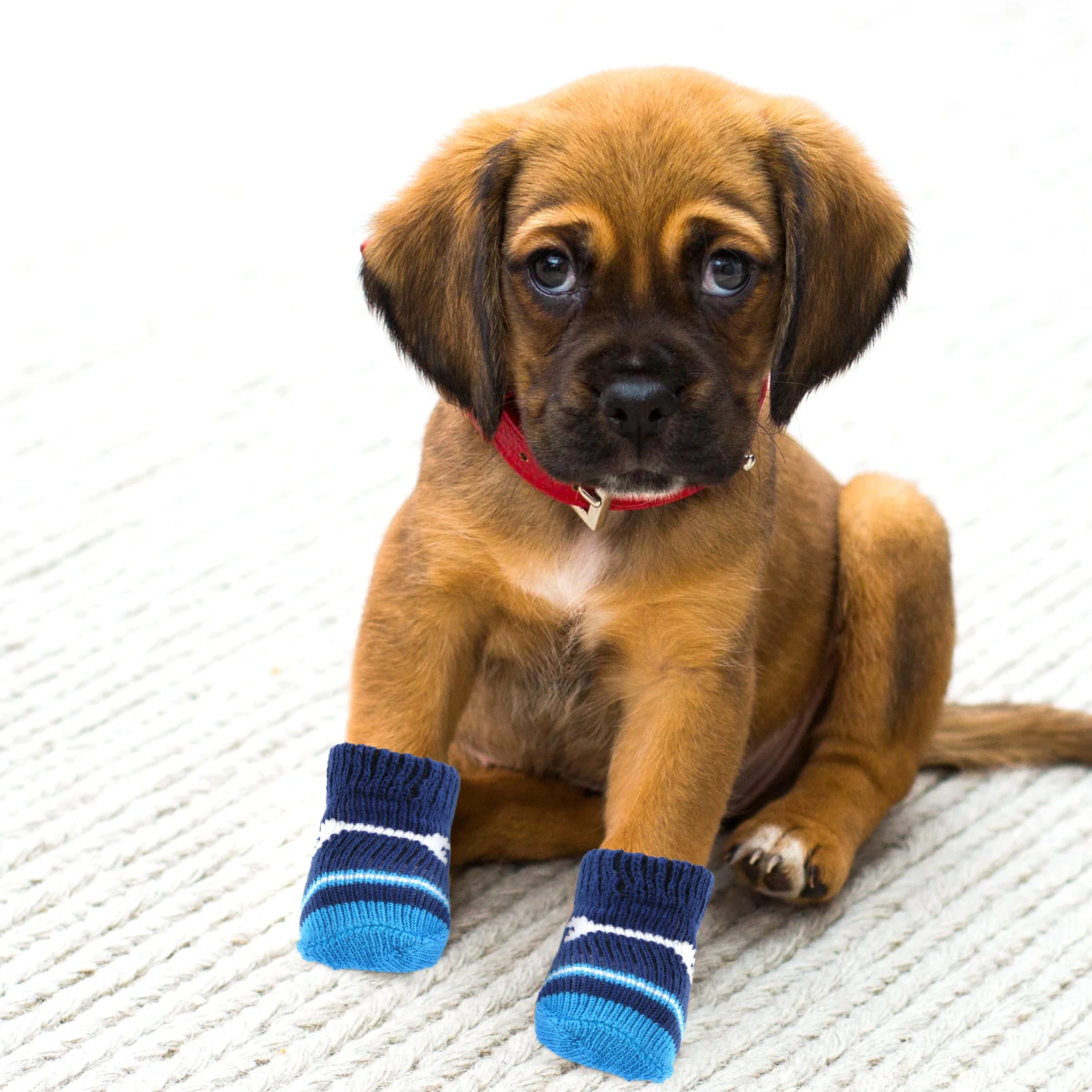

2 Pairs Pet Socks Small Dogs Cotton Nonslip Sole Protect Paws Dirt Cold Snow Ice Washable Replaceable Dog Accessories