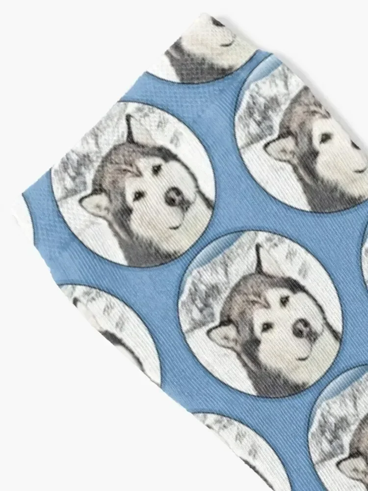 Alaskan Malamute Socks sports stockings gift designer anti-slip Socks Men Women's