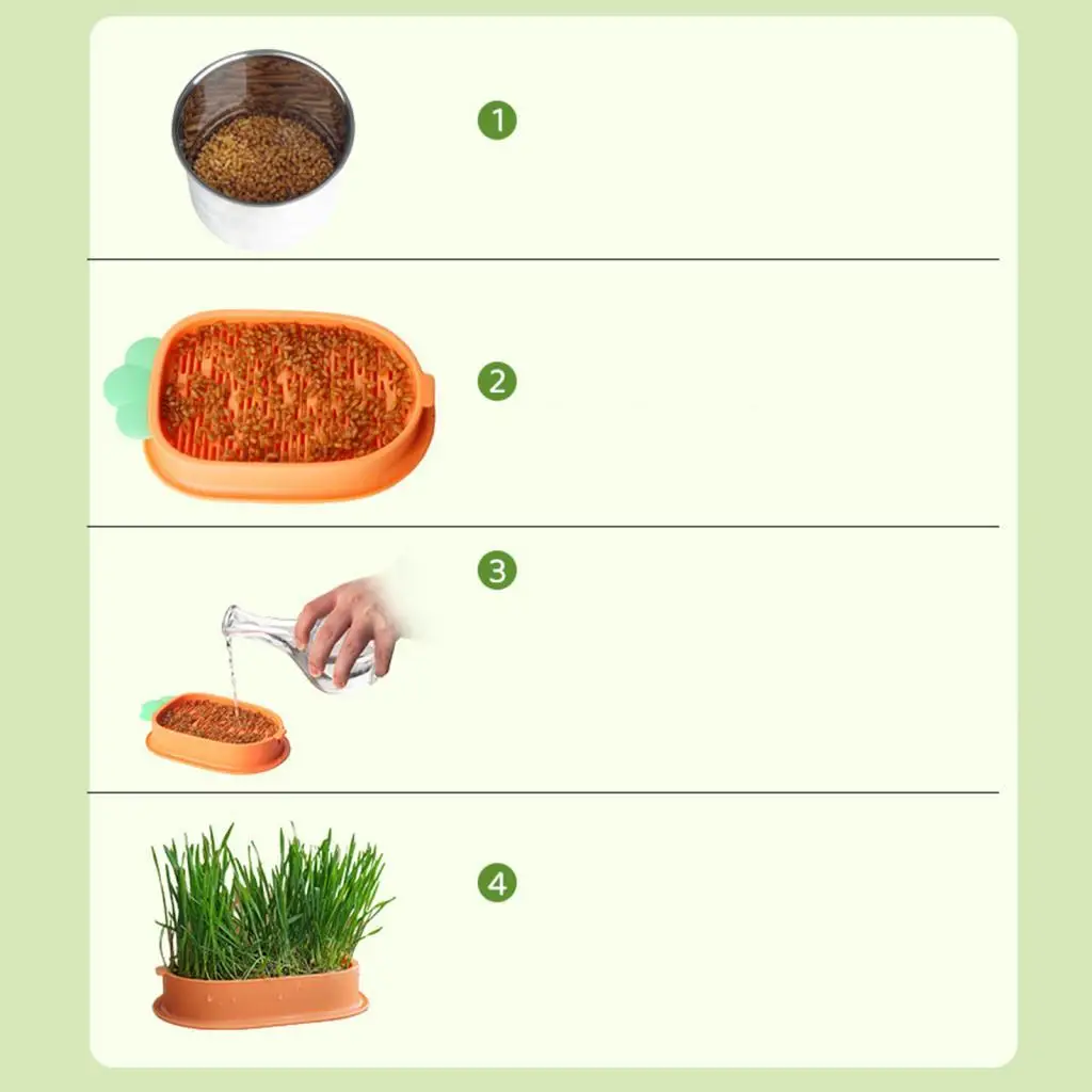 Seed Sprouter Tray Greenhouse Microgreens Soil Free Hydroponic Cat