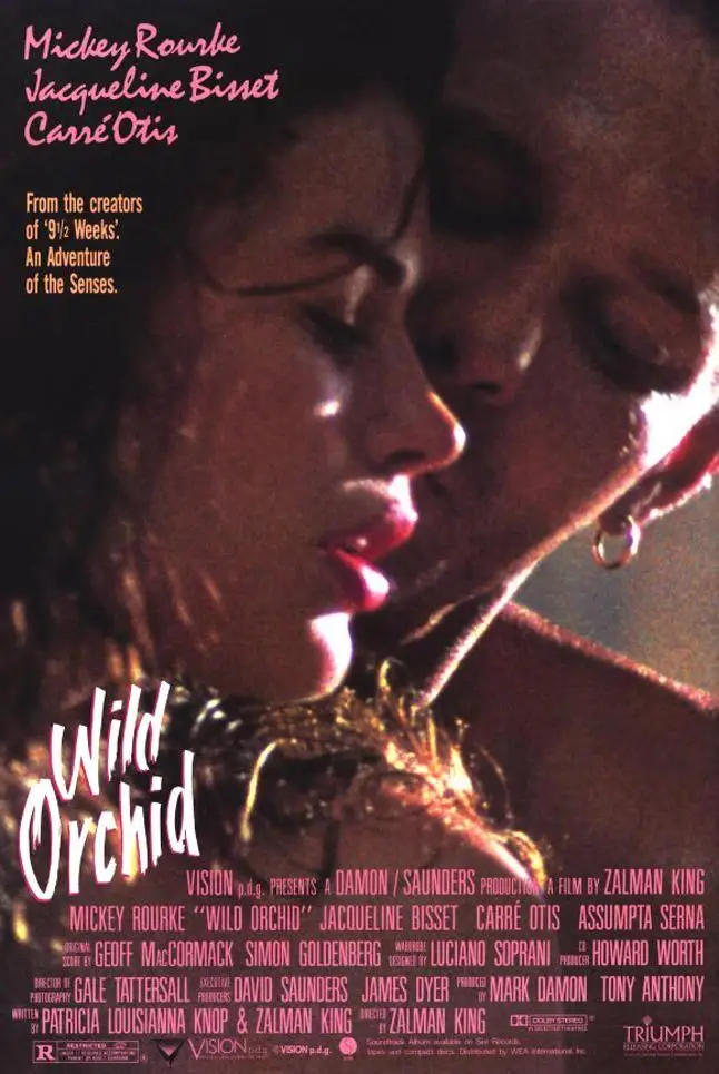 Wild Orchid 1989  Movie Silk poster Home Decorative Wall painting