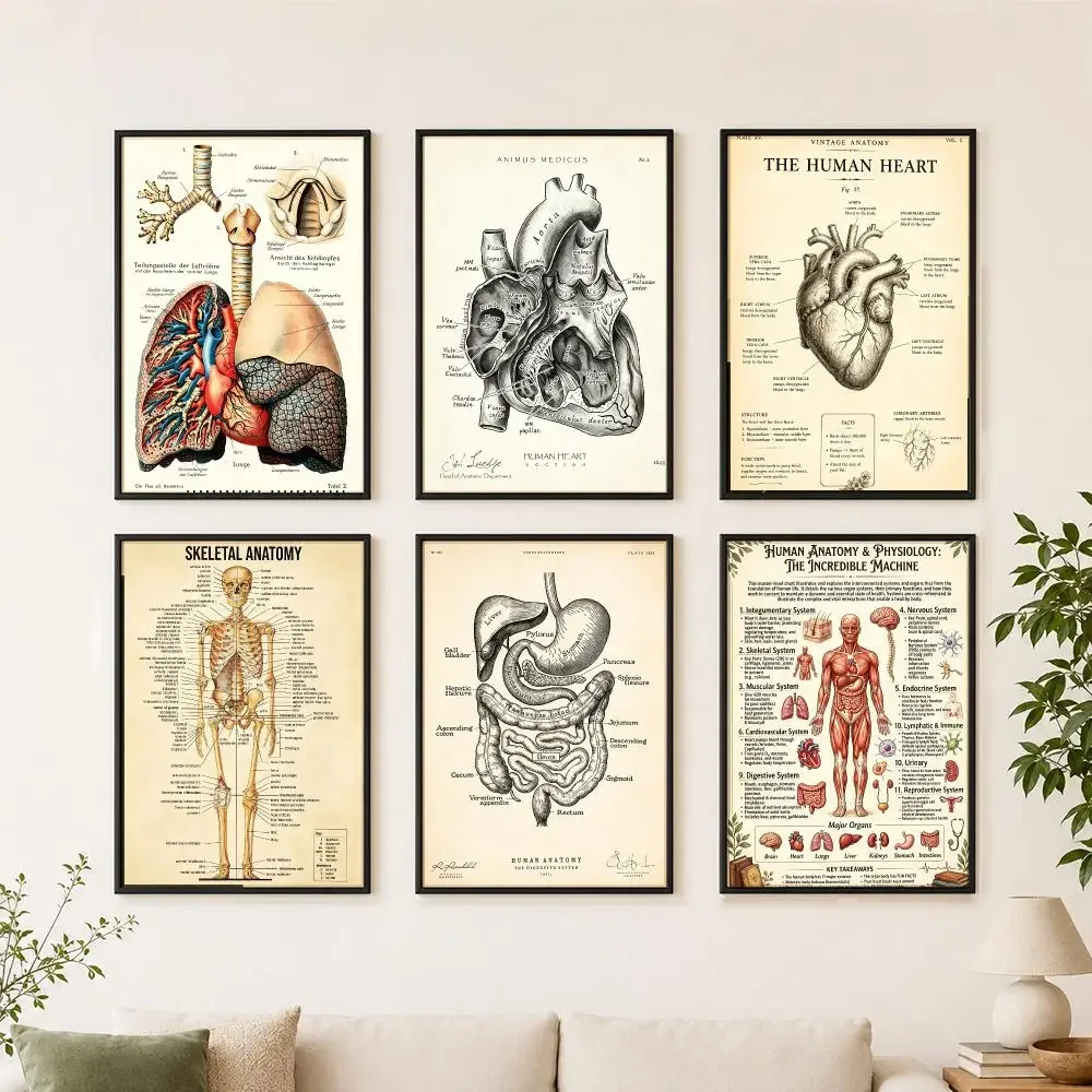pattern Retro Human Organ Chart Poster HD Printing Cozy and Warm Style for Home Decor for Living Room Bedrooms Gift Giving
