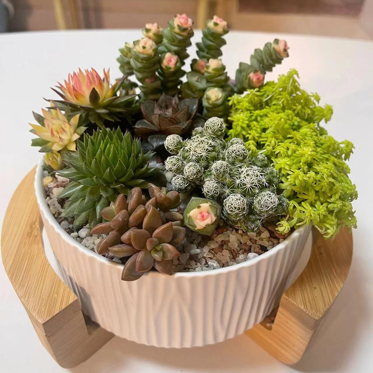 Succulent Planters Silicone Mold Garden Decor Large Pot Concrete Art Designs Round Striped Fruit Bowl Candle Vessel Plaster Mold