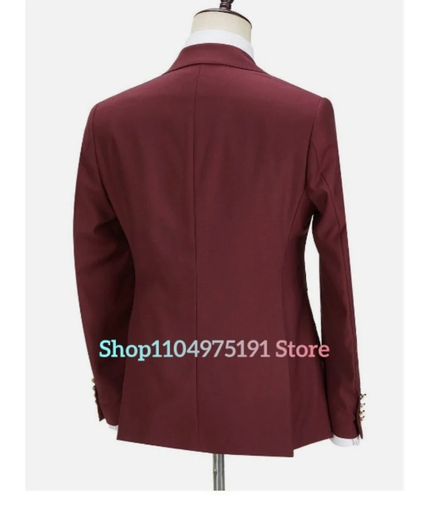 Conjunto de terno gracioso para anfitrião de casamento em uma festa de autocultivo, conjunto de terno masculino casual de alta qualidade. Fantasia de palco masculina.