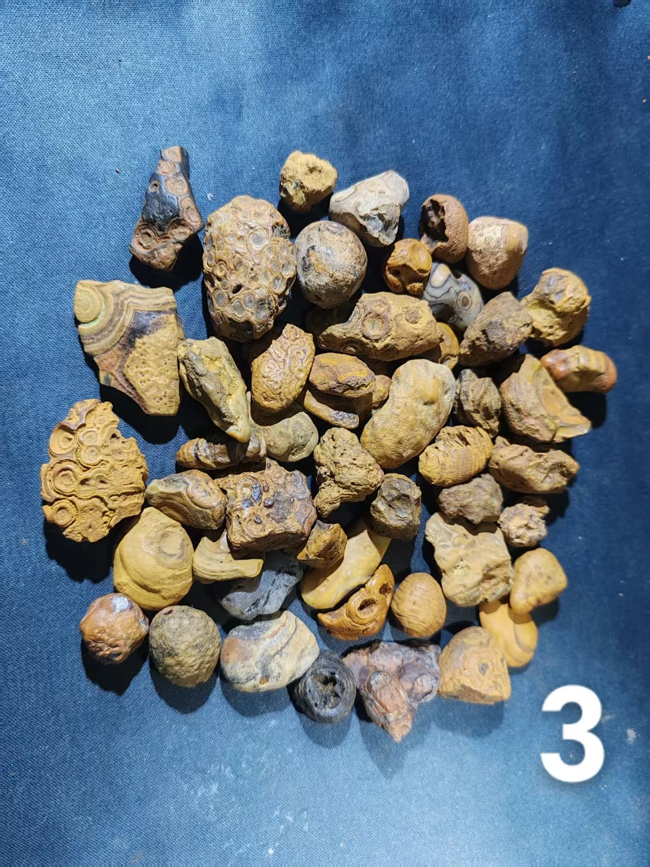 50pcs/lot gtian Bead RaSelected Premium Menw Stone Specimens Beautiful Unique with Eye Patterns Powerful Energy Stones