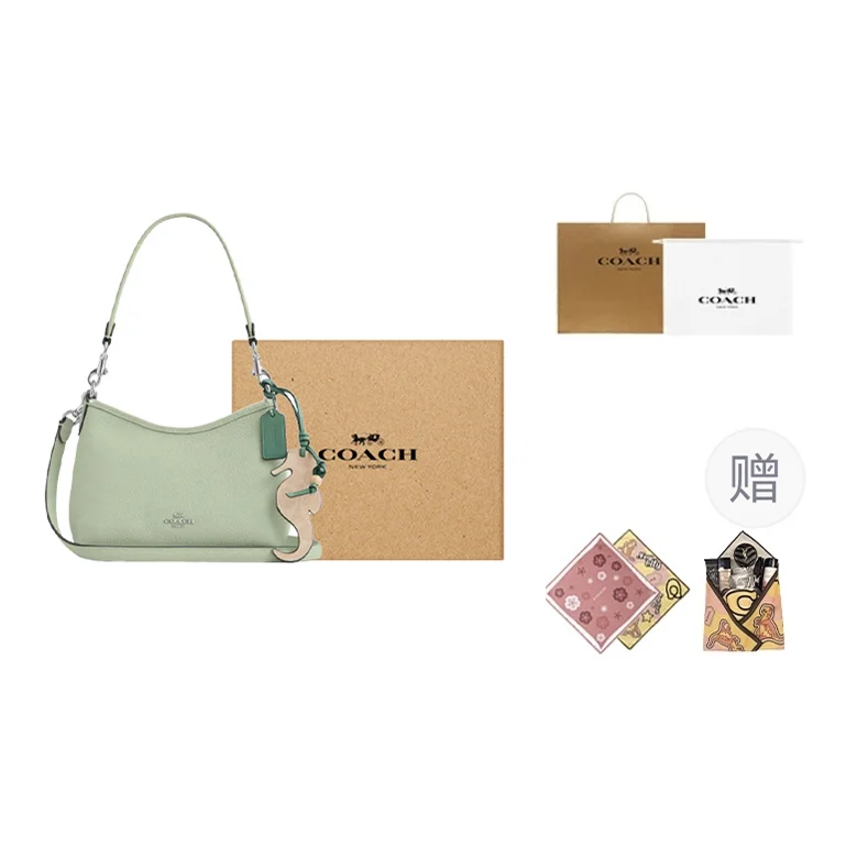 COACH Laurel Leather Shoulder Bag Small Women's Light Pistachio CBI04-SVY6O