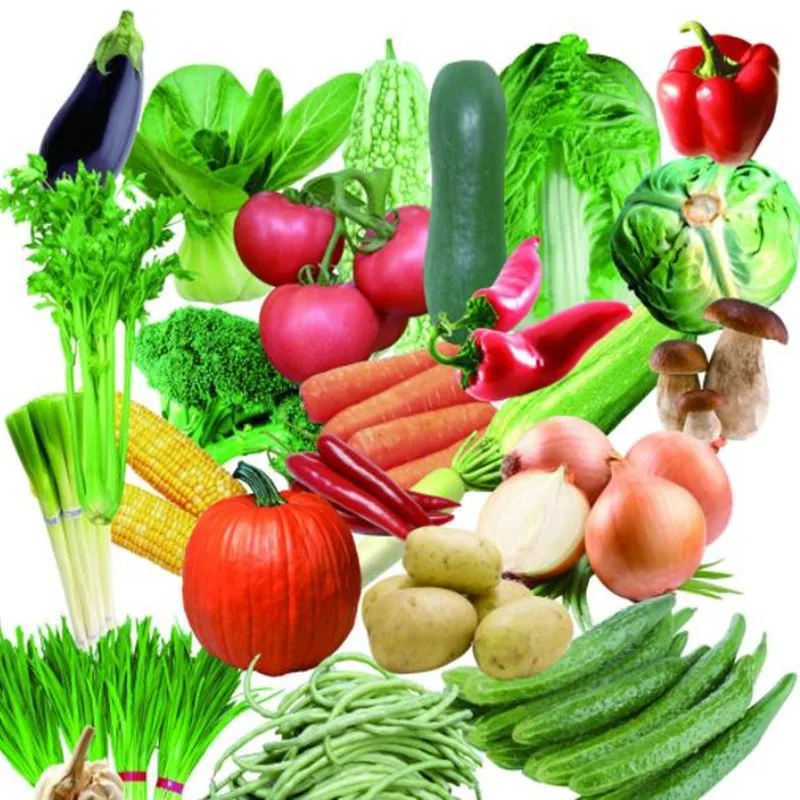 

Fake Vegetable Model Scene Layout Kitchen Decoration Photography Props Garden Soft Decoration Simulated Vegetables 2pc/lot