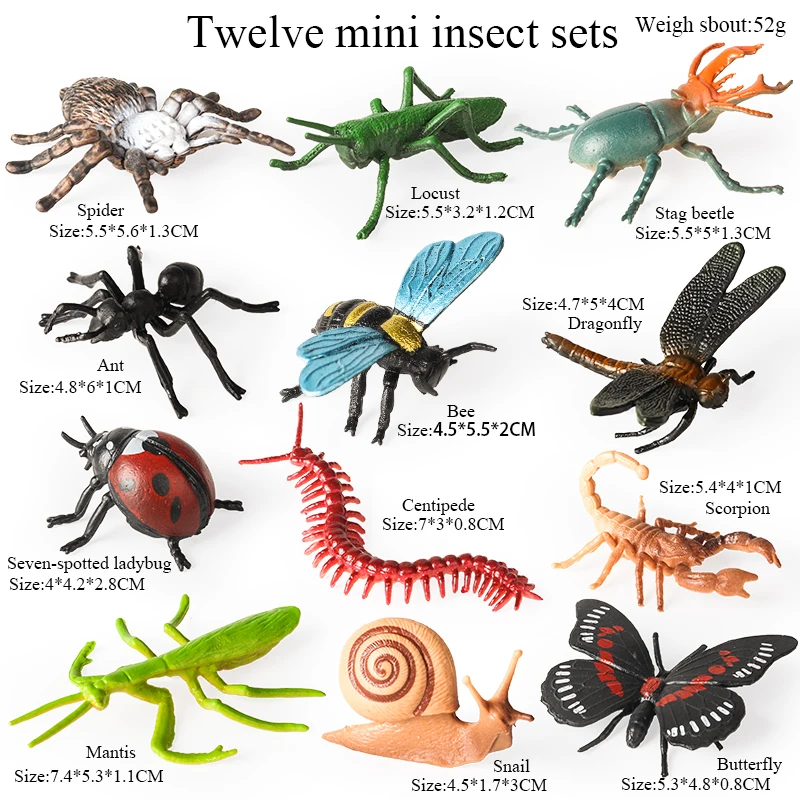 Oenux Insekt Tiere Modell Set Schmetterling Libelle Biene Käfer Spinne Skorpion Mantis Zikade Eidechse Garten Miniatur Kind Spielzeug Geschenk – Detail 7