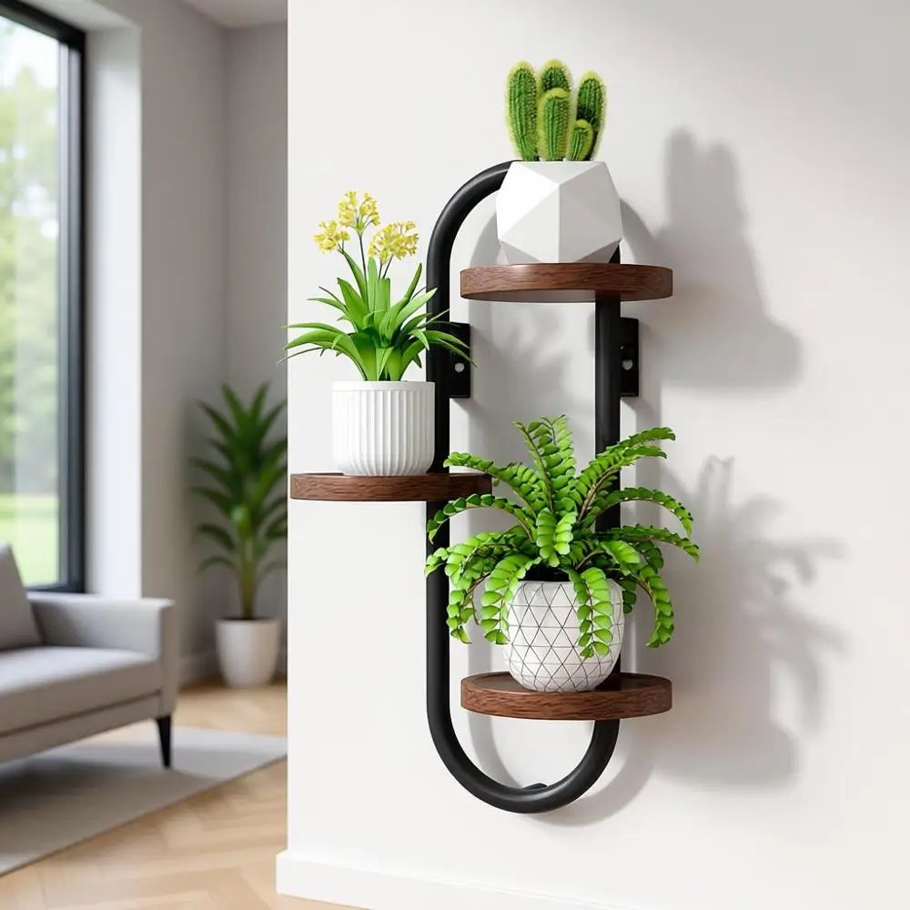 

Indoor 3-Tier Oval Wall Plant Stand: Space-Saving Hanging Rack for Multiple Plants and Home Decor