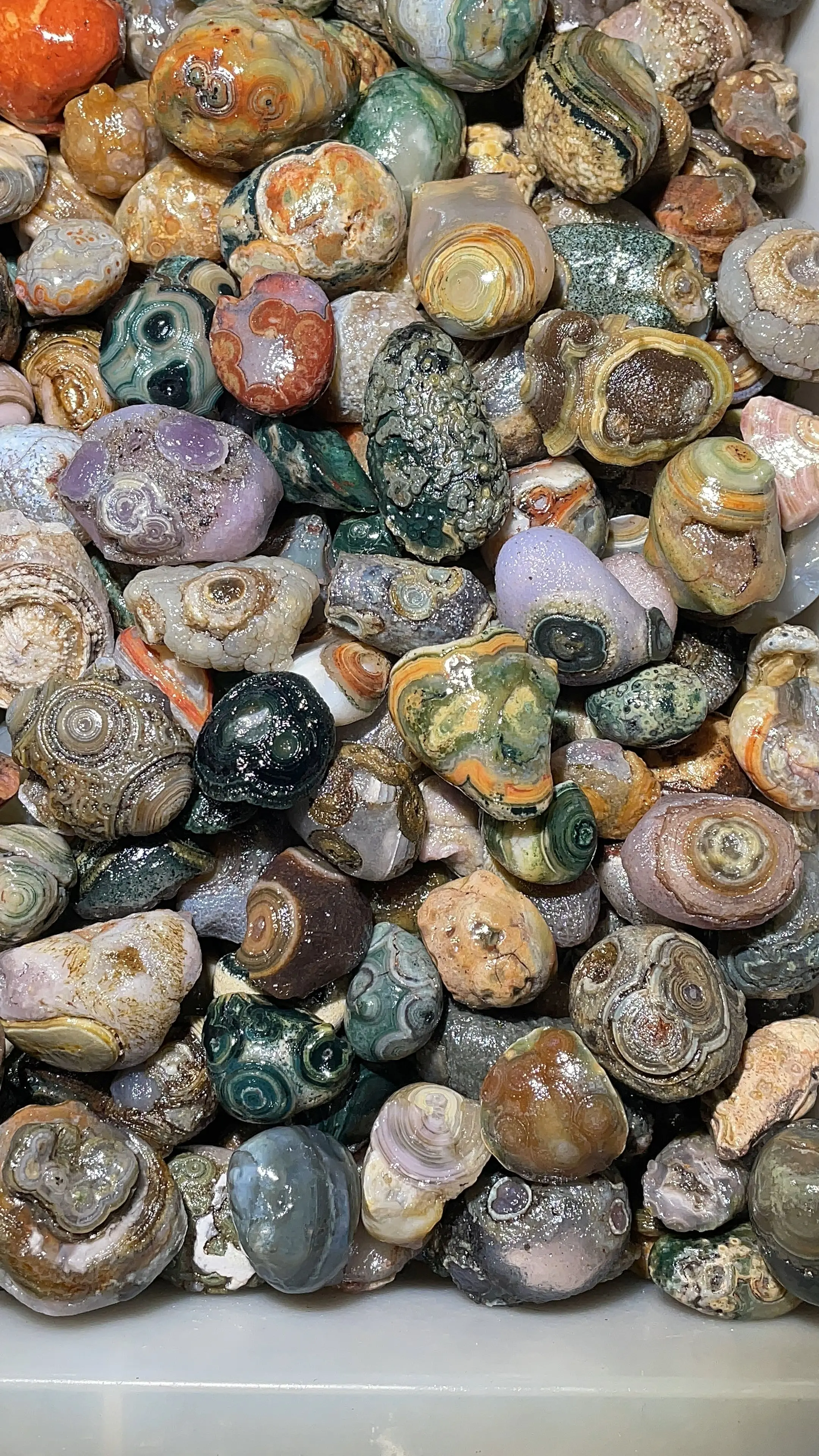 

10kg/lot wholesale beautiful precious energy stones high-quality vibrant colorful Gobi agate rough stones natural eye pattern