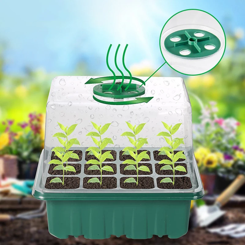 

Heightened Three-Piece Seedling Box Set with Lid 6/12 Hole Design Succulent Vegetable Breeding Pot Gardening Plant Care Kit