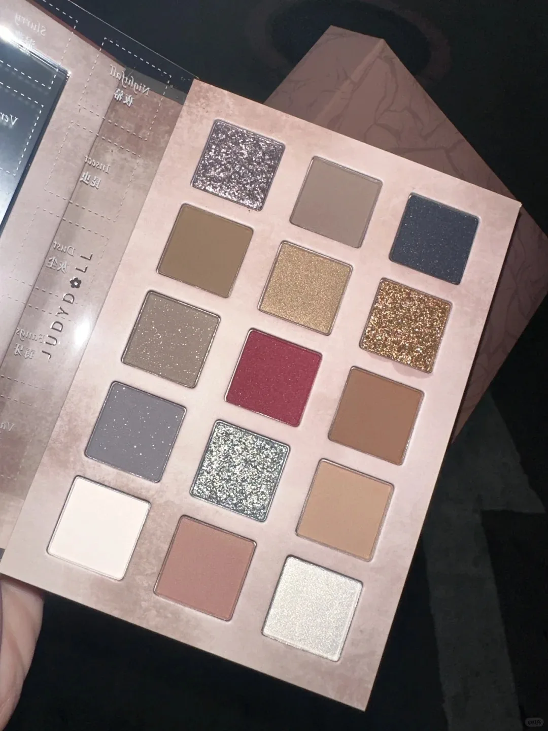 Judydoll Halloween edición limitada Rose Codex "libro de sombra de ojos de 15 colores mate Color tierra brillo maquillaje de ojos brillo de ojos