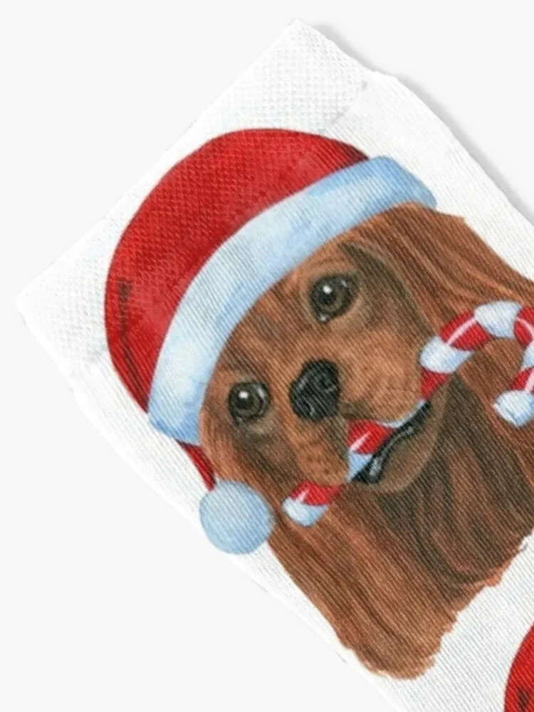 Christmas Cavalier King Charles Spaniel Ruby Socks kawaii hiking Socks Ladies Men's