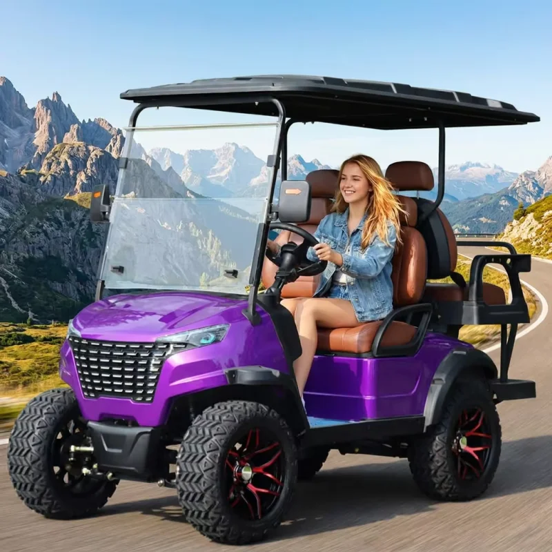 Rugged 4 Seater Off Road Electric Club Car Heavy Duty Shock Absorbers Reinforced Chassis For Mountainous Road Use Utility Buggy