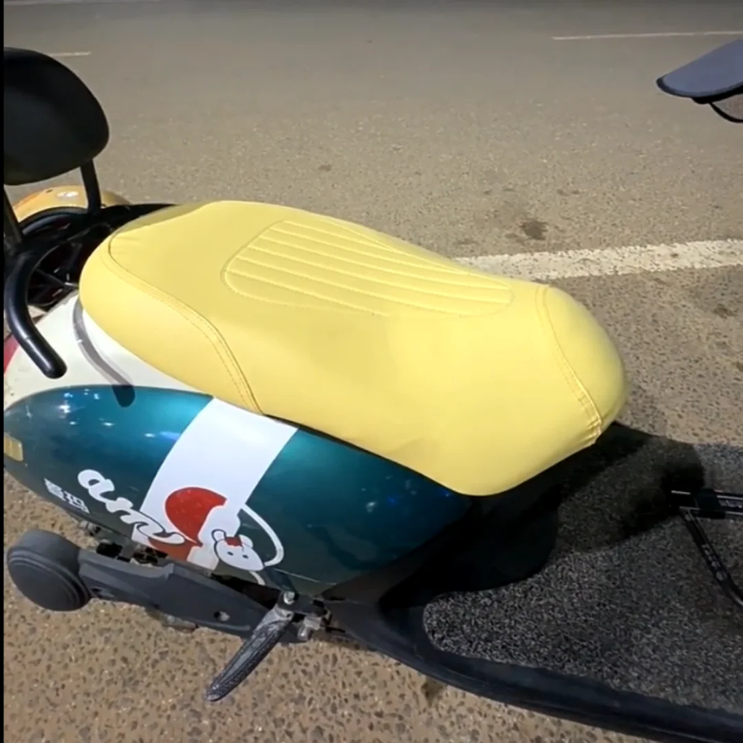 For Aima Luna Pro, this adjustable accessory is suitable for all seasons and can be used as a seat cover for electric bikes.