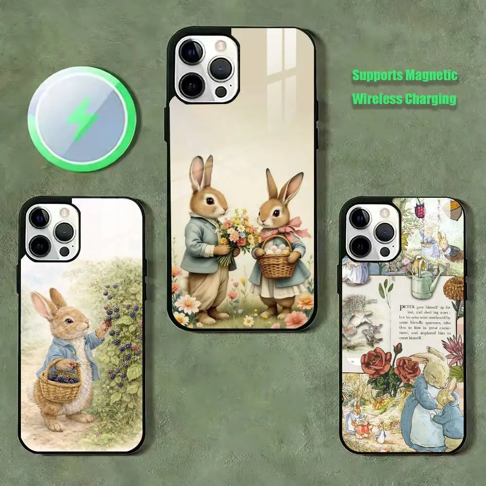 Cute funny Peter Rabbit  Phone Case For iPhone17,16,15,14,13,12,11 Plus,Pro Supports Magnetic Wireless Charging