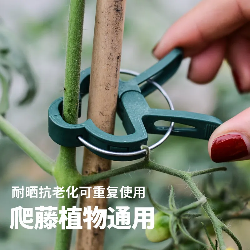 Vine Fastening Clips Green Plastic Plant Clamps Secure Climbing Vegetable Fruit & Flower Stem Branches