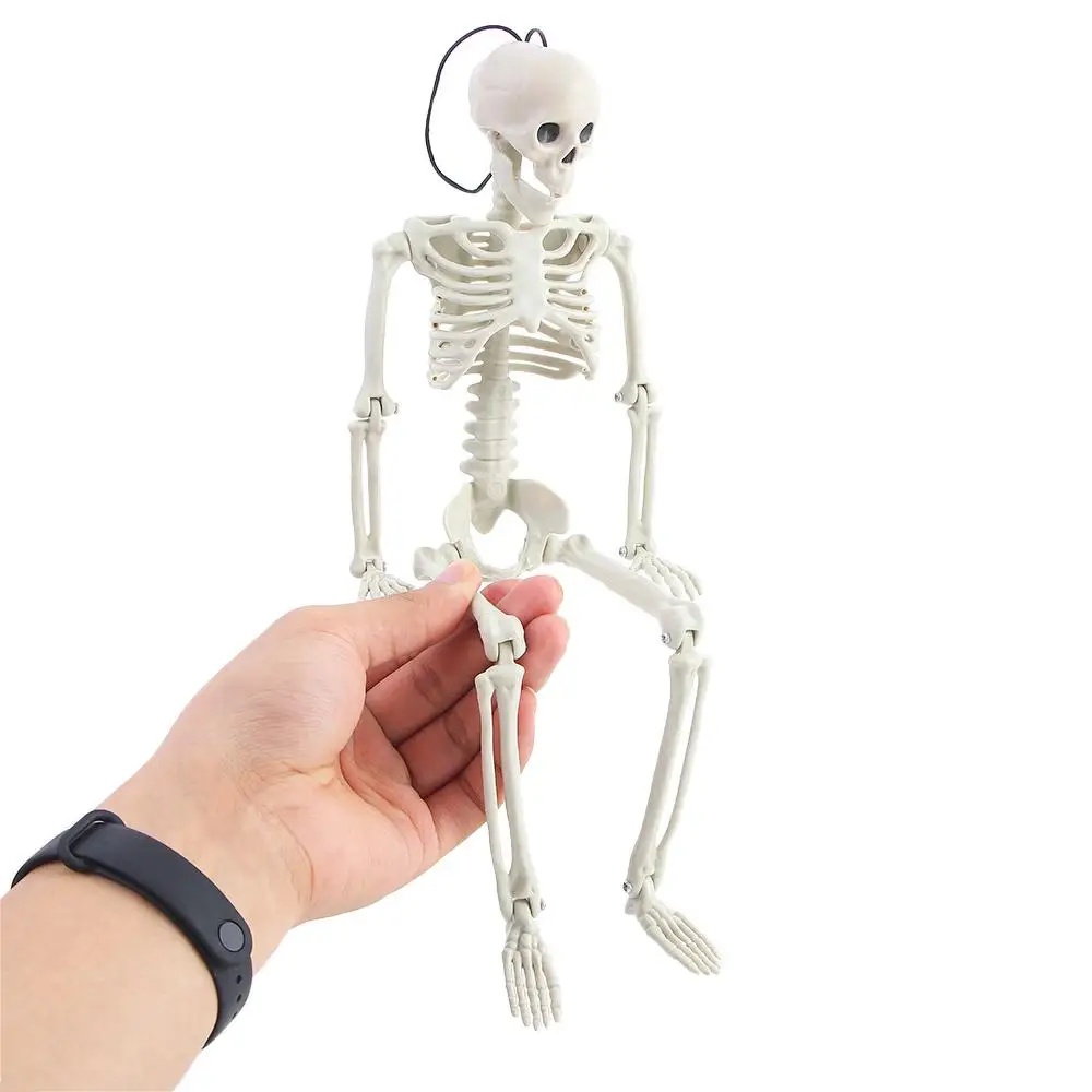 Ornaments Parties accessories Car interior accessories Human Bones Car Rearview mirror pendant Skeleton model Halloween props