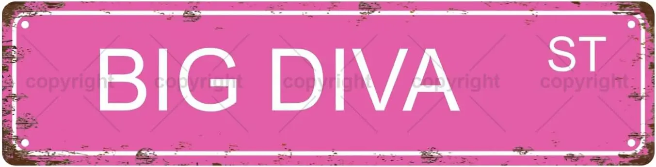 BIG DIVA ST Letrero de metal vintage para niñas y mujeres, letrero de calle, decoración del hogar, decoración de la habitación, decoración de la pared, decoración del baño, decoración del bar, cafetería