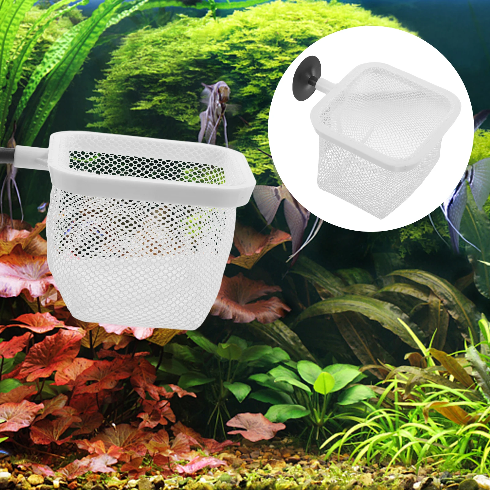 

Fish Tank Isolation Net Large Square White Suction Cups Separator Breeder Box for Aquarium Shrimp Reptile Fry Incubator Nursery