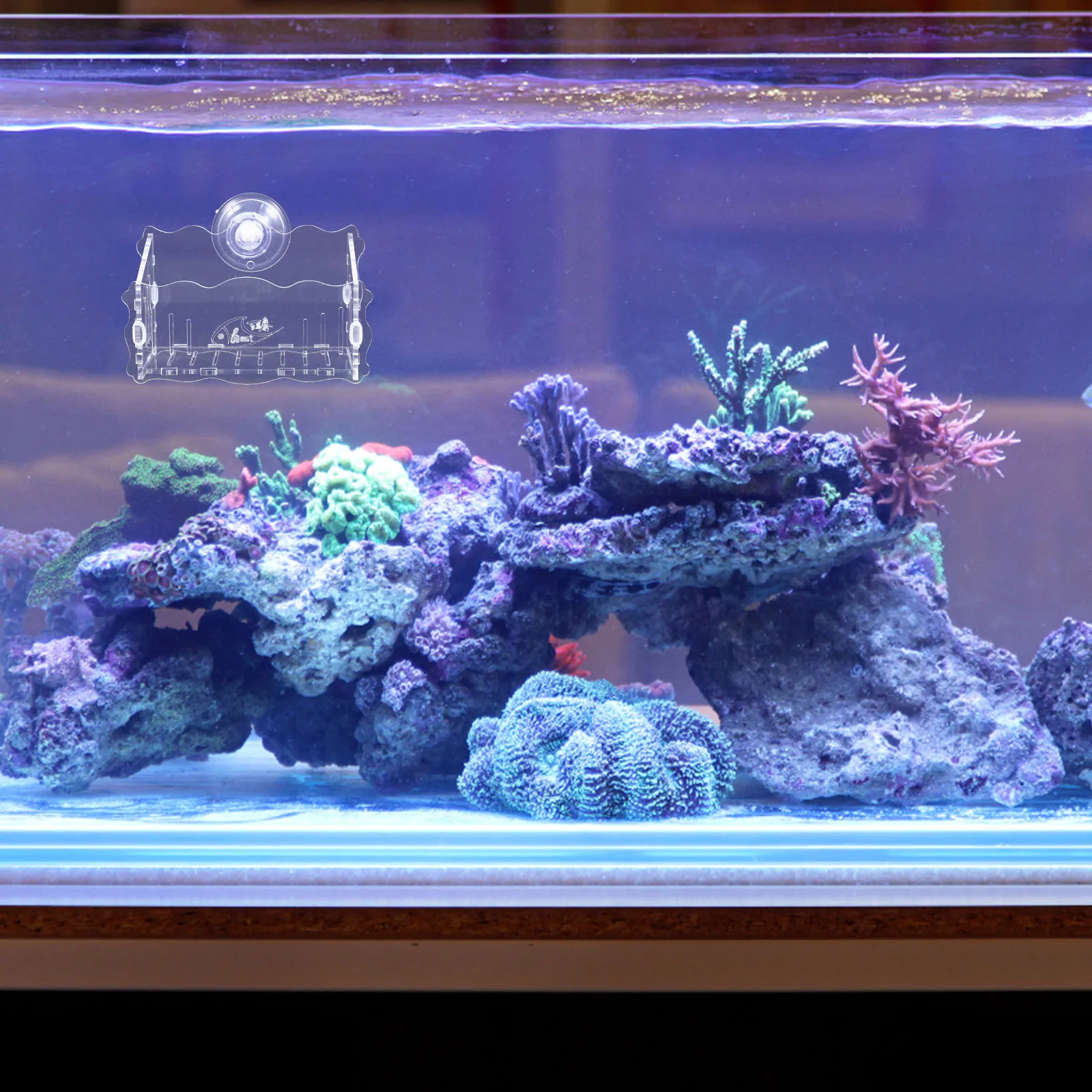 

Aquatic Plants Planters Acrylic Aquarium Fish Tank Holder Pot for Container Transparent Live