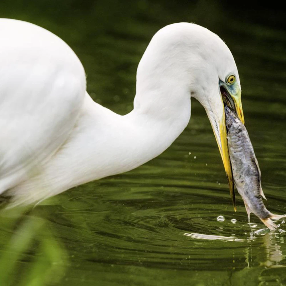 

20Pcs Pond Net for Fish Protection Grid Pattern Weatherproof Plastic Fishing Pond Cover Ideal Outdoor Garden