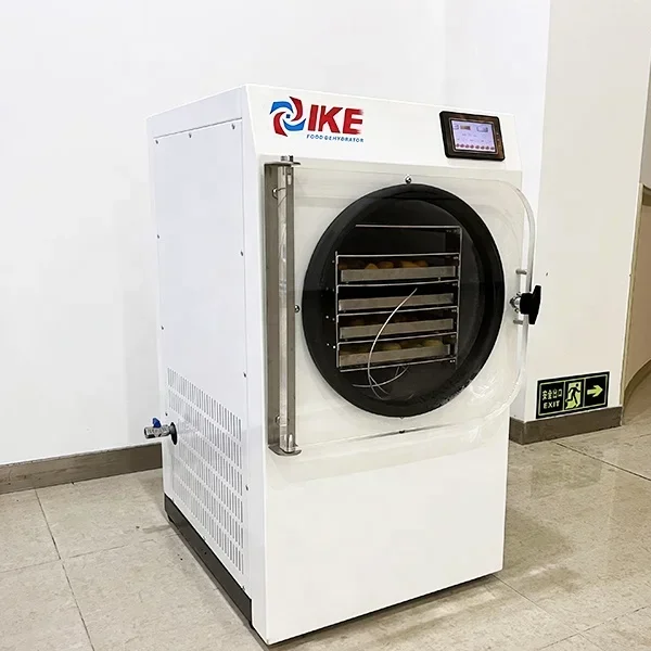 Vacuum freze drying machine can be used for vegetable fruit food freze dryer