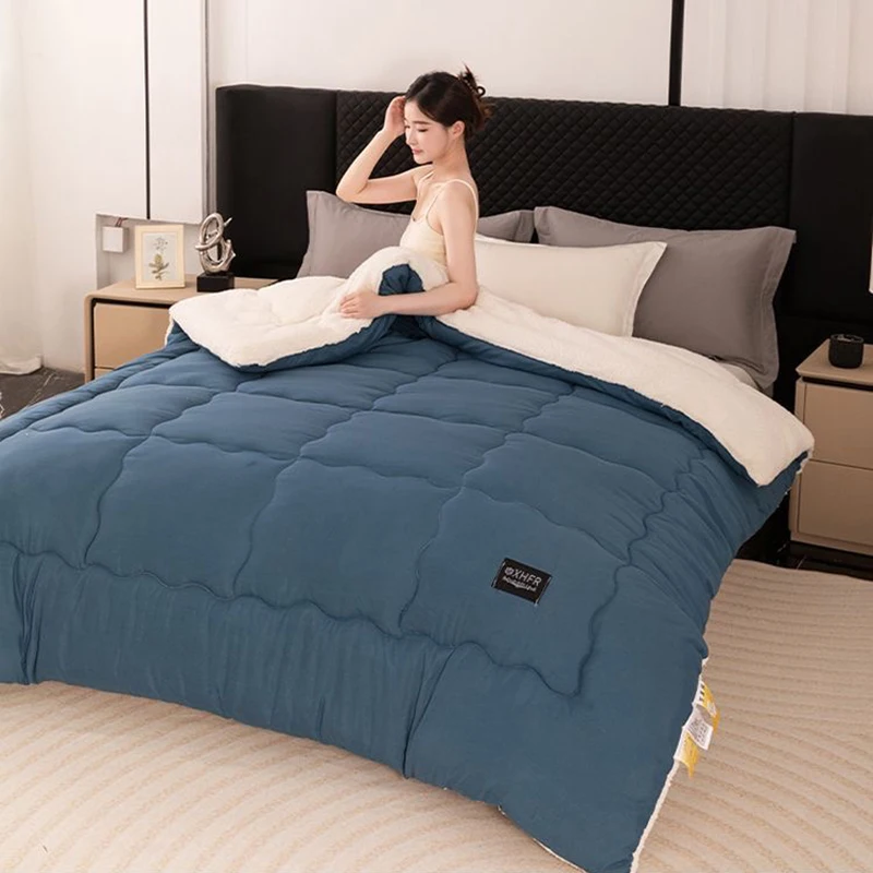 Lamb Fleece Winter Quilt Thickened Warm Student Dorm Single Cotton Comforter Spring Autumn Blanket Cozy Core for Cooler Months