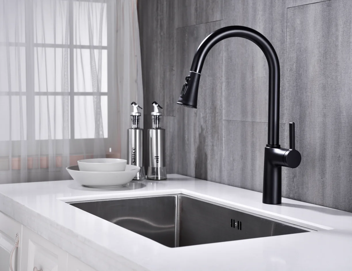 Modern Multi-functional Single Handle Kitchen Sink Tap Black Pull-Out Design