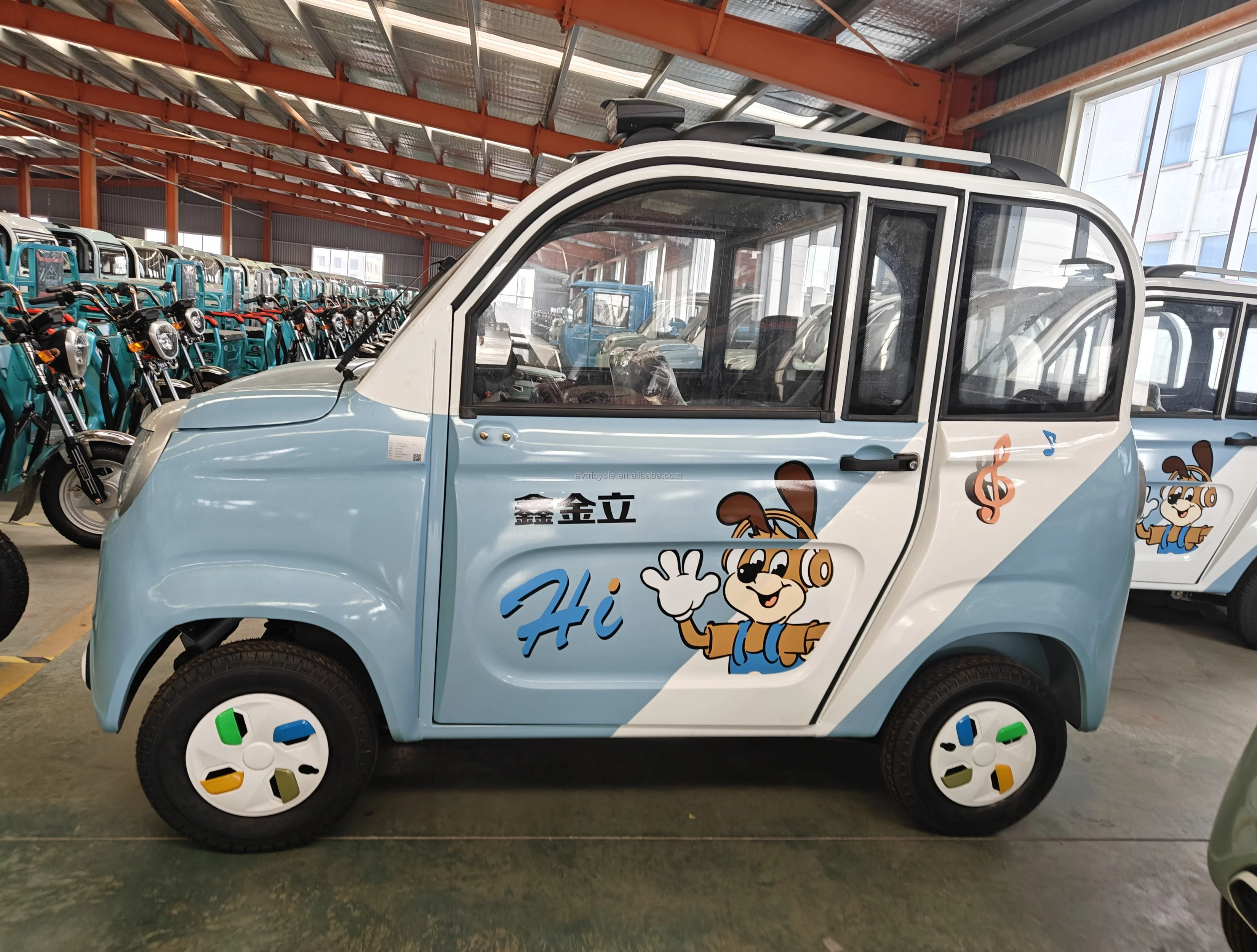 Small Electric Mini Car with 2 Doors for Elderly Passengers Closed Body Type 800W Power 48V