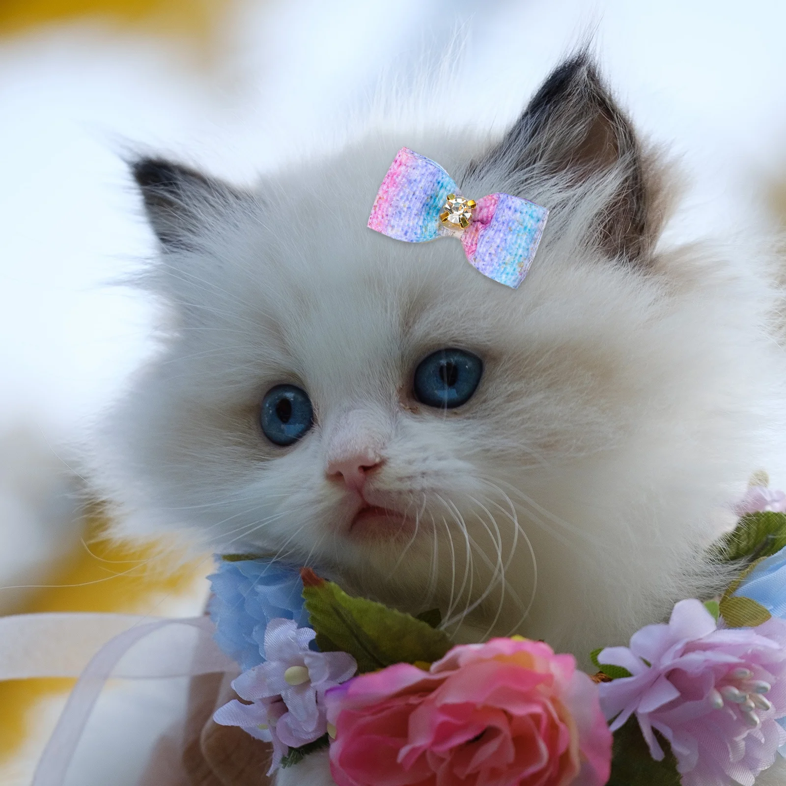 

25Pcs Pet Hair Bows Creative Gradient Bowknot Elastic Bands for Dogs Cats Photo Shoots Weddings Party Decor Dog Hair Bows