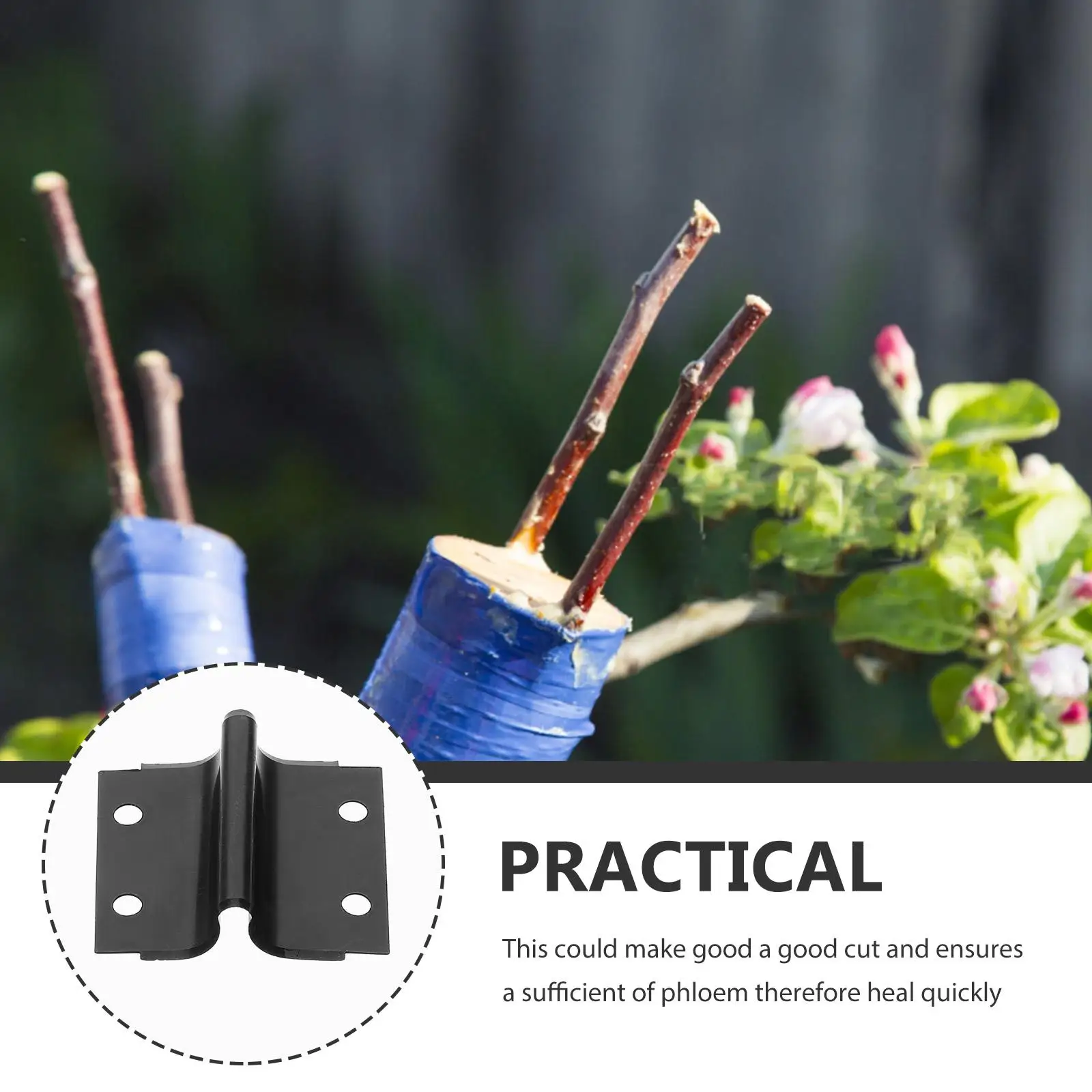 Grafting Blade Durable Alloy Steel Sharp Smooth Edge Tools for Tree Fruit Vegetable Gardening Pruning Supplies