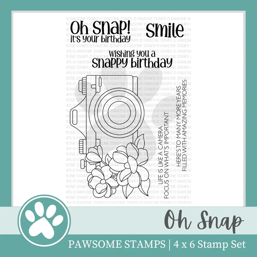 Spring Oh Snap Camera Clear Stamps Set Scrapbooking for Paper Making Metal Cutting Dies Frames Card Craft