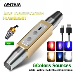 Double Head Jade Identification Flashlight Rechargeable 365/395NM LED Torch 6 Light Source Lamp Jewelry Gems Detector UV Light