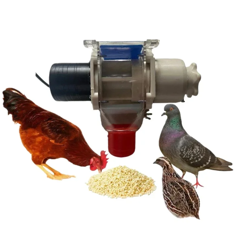 Thumbnail 3 - #12 Trending Automatic Livestock Feeders Right Now