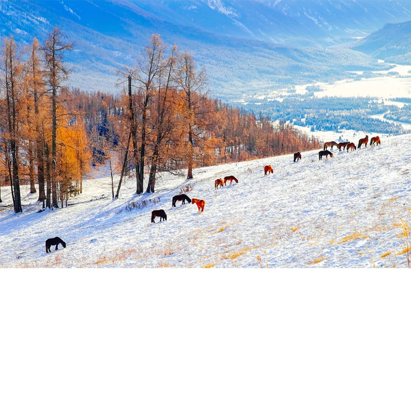 

Outdoor Full Car Cover For HAVAL H7 with Reflective Strips Waterproof Snowproof Dustproof UV Protection Auto Exterior Accessory