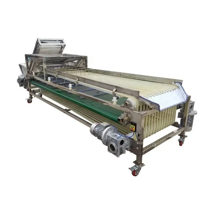 Automatic Olive Sorting Equipment Avocado Fruit Grading Machine