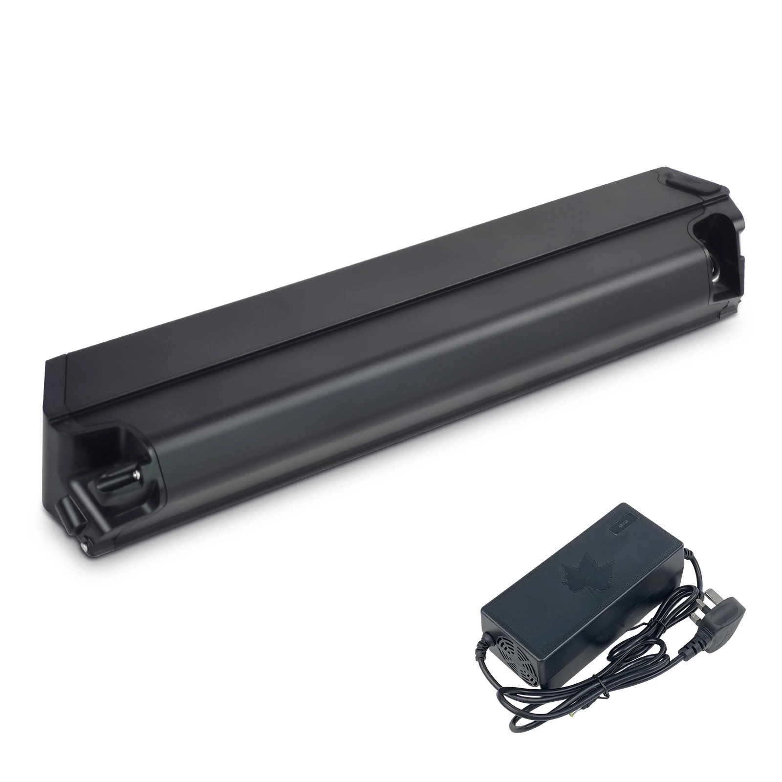 

L460mm Reention Dorado 48V Electric Bicycle Lithium Battery for NCM Moscow Milano Aspen Electric Bike