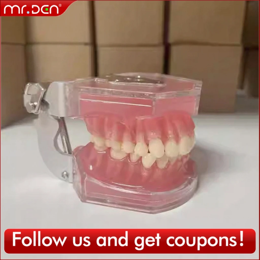 

Несколько типов стоматологических моделей, обучающие модели зубов, обучающие ортодонтические съемные модели имплантатов, материал для стоматолога, высокое качество