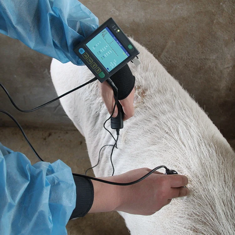 Cheap MSU-3 Full Digital Mechanical Sector Swine Ultrasound Machine