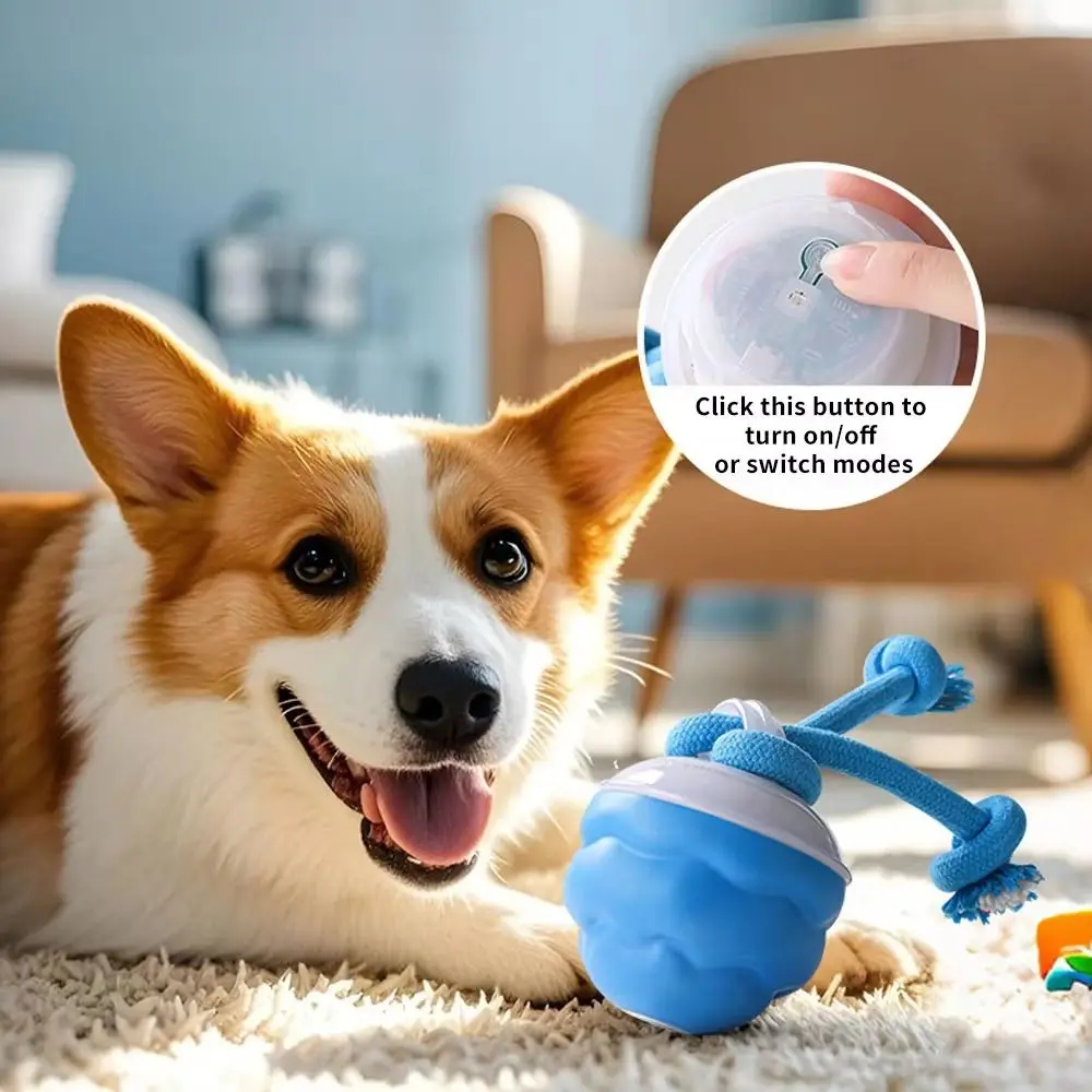 

Bite Resistant Electric Dog Ball Automatic Bouncing LED Lighting Electric Jumping Ball Dog Interactive Ball Dog Supplies