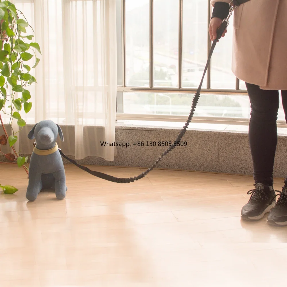 10pcs   Wholesale Manufacturer Nylon Custom Designer Running Pet Dog Bungee Leash