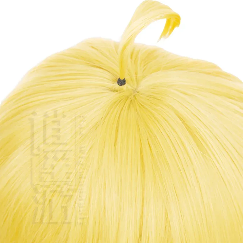 qq34High Quality Panty Anarchy Cos 80CM Gold Long Heat-resistant Synthetic Hair Halloween Party Anime Cosplay Wigs+wig