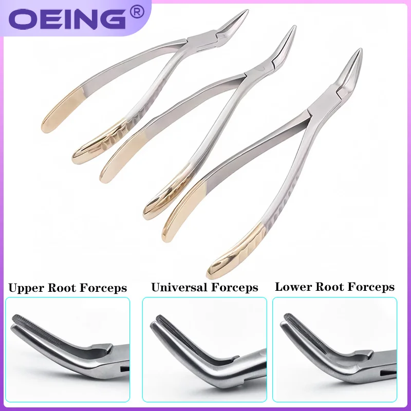 

Фрагмент корня зубов Минимально инвазивный щипцы для извлечения зубов Щипцы для зубов Стоматологический инструмент Изогнутые верхнечелюстные щелочные зубы