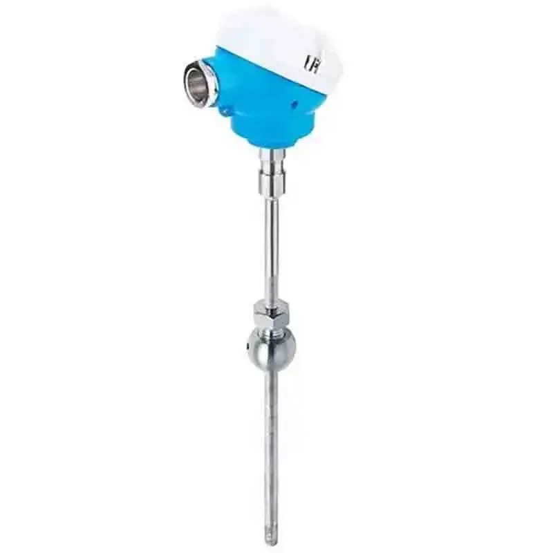 Germany Original E+H TM121 Industrial Modular Thermometer with Stainless Steel IP68 OEM/ODM Customization -200C +1100C Range