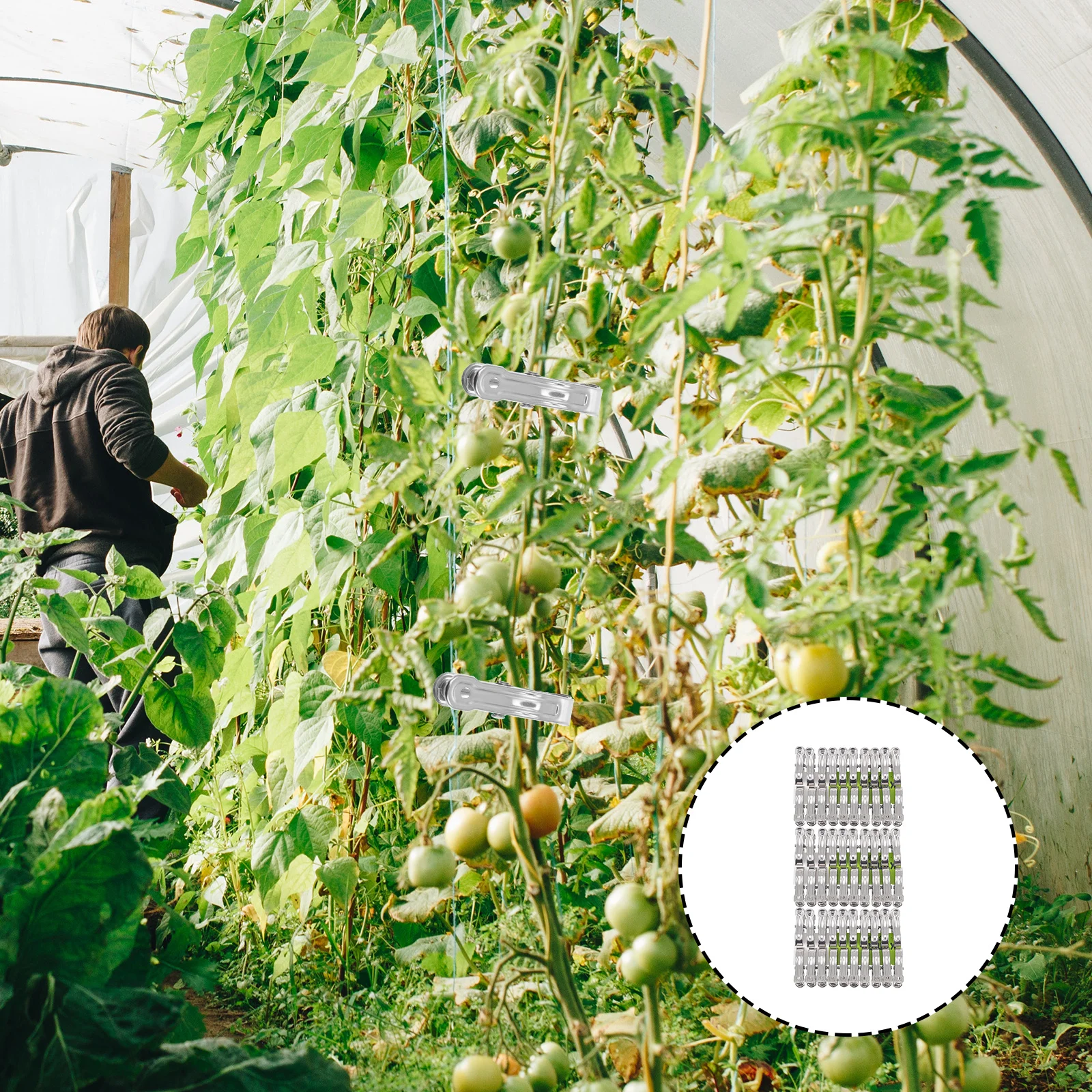 

60Pcs Garden Windproof Clips Heavy Duty Metal Clothes Drying Clamp for Quilt Sheets Underwear Outdoor Balcony Use Windproof